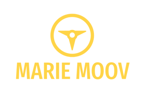 logo d'un chauffeur taxi à Falaise, dans le Calvados